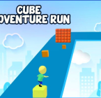Cube Adventure Run