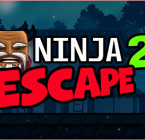 Ninja Escape 2